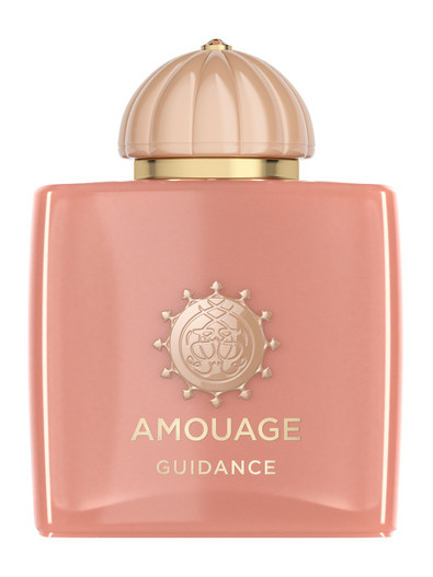 Amouage Odyssey Collection Guidance Eau de Parfum 100 ml